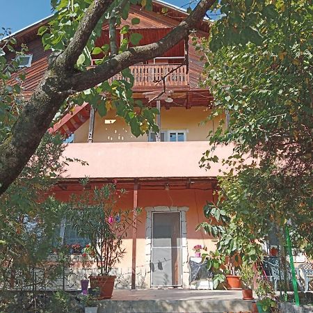 Vila Mara Sărata-Monteoru Exteriér fotografie