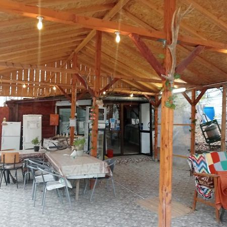 Vila Mara Sărata-Monteoru Exteriér fotografie