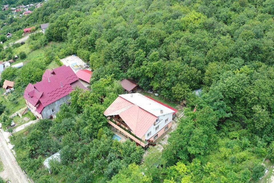 Vila Mara Sărata-Monteoru Exteriér fotografie