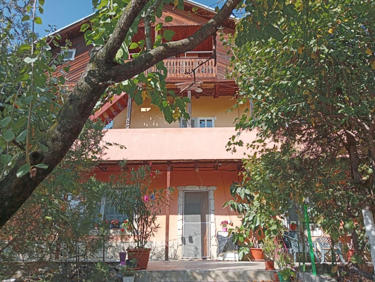 Vila Mara Sărata-Monteoru Exteriér fotografie