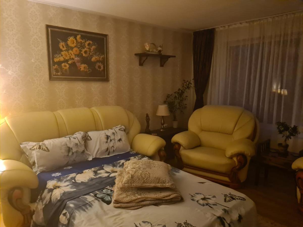 Vila Mara Sărata-Monteoru Exteriér fotografie