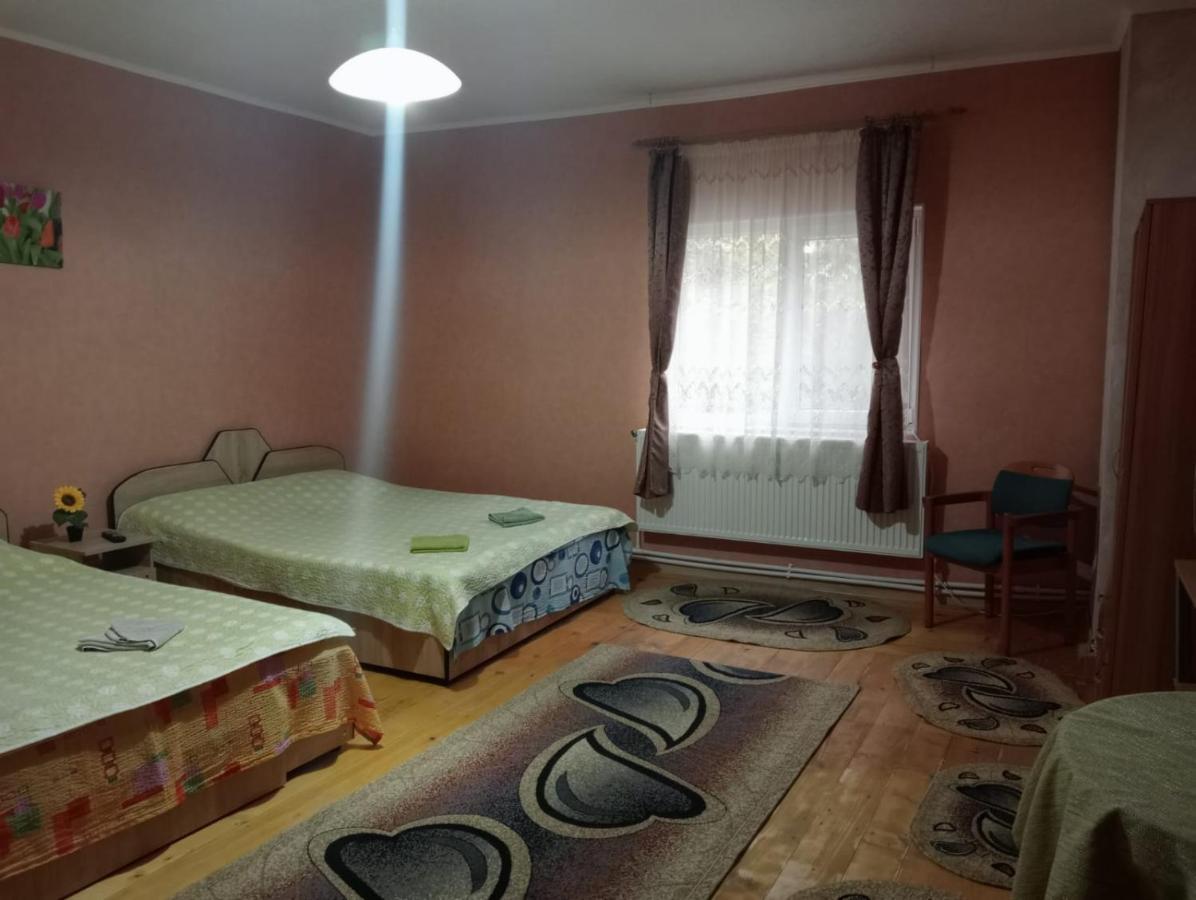 Vila Mara Sărata-Monteoru Exteriér fotografie